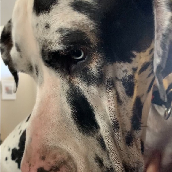 Meet your Posher, Denise - Picture 9 of 16